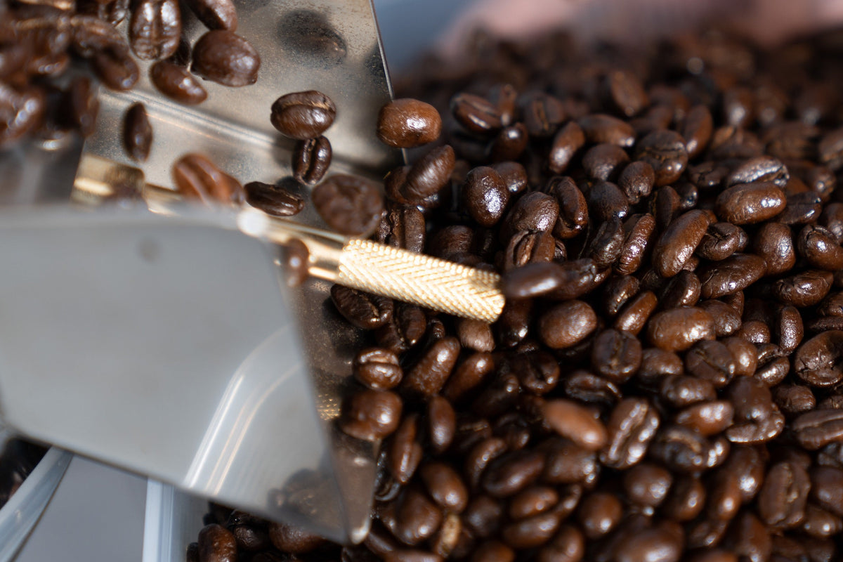 オーナーと現場チーフに聞く、コーヒーの「酸味」とは何なのか?
