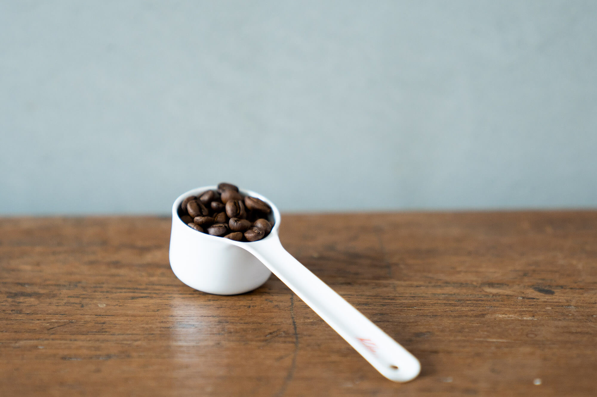 カリタ コーヒースプーン